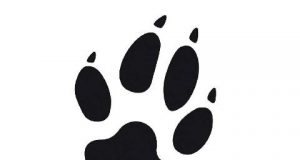 Le Loup 92.9 FM Ontario - CHYK-FM