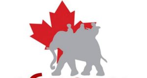 CINA-AM Ontario